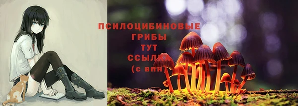 первитин Богородицк