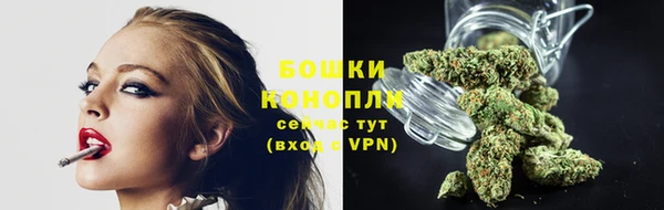 прущий лед Богданович