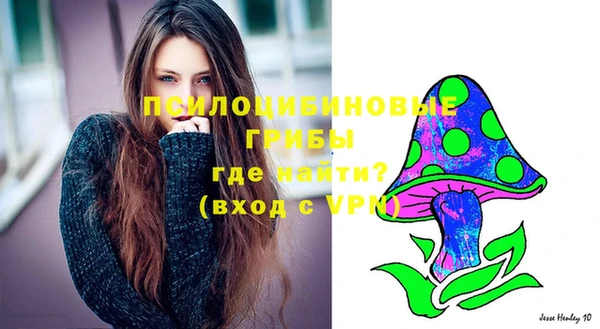 амф Белокуриха