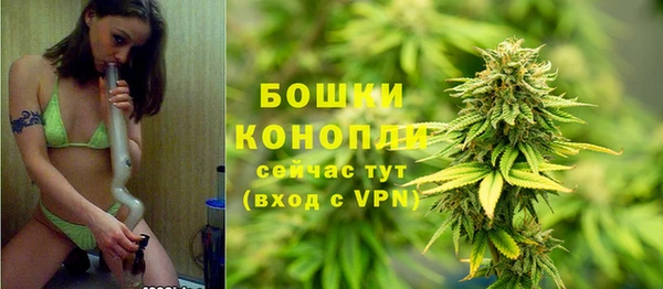 прущие крисы Белоозёрский