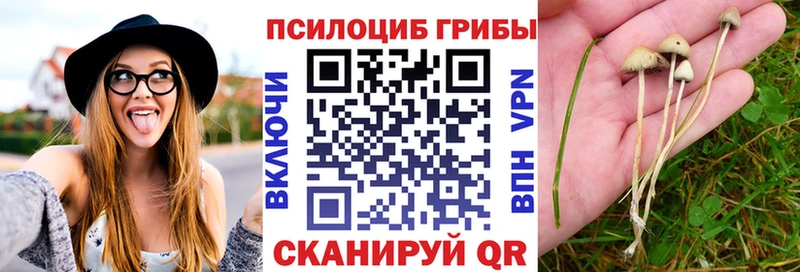 цены   Кирово-Чепецк  Псилоцибиновые грибы мухоморы 